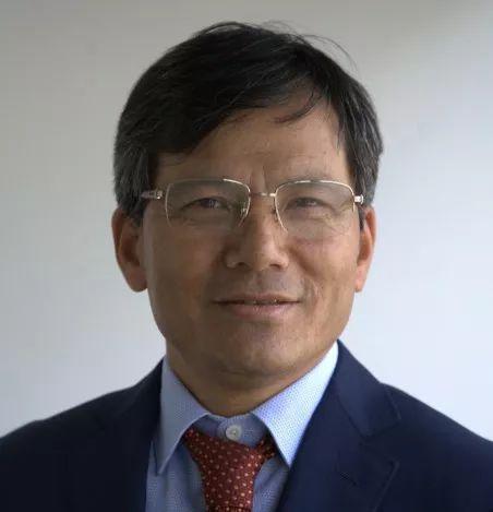 陈纯